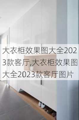 大衣柜效果图大全2023款客厅,大衣柜效果图大全2023款客厅图片