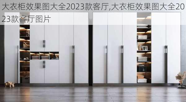 大衣柜效果图大全2023款客厅,大衣柜效果图大全2023款客厅图片