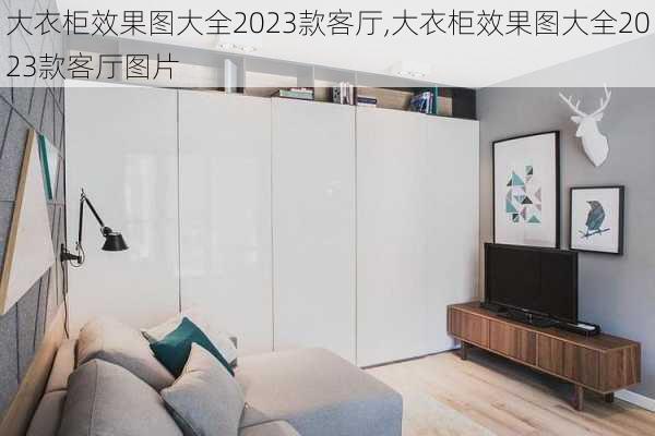 大衣柜效果图大全2023款客厅,大衣柜效果图大全2023款客厅图片