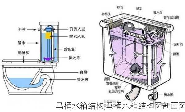 马桶水箱结构,马桶水箱结构图剖面图