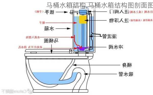 马桶水箱结构,马桶水箱结构图剖面图