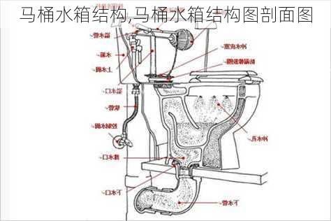 马桶水箱结构,马桶水箱结构图剖面图