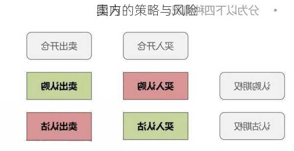 国内
卖方的策略与风险
