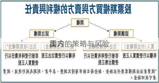 国内
卖方的策略与风险
