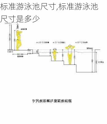 标准游泳池尺寸,标准游泳池尺寸是多少