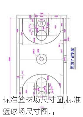 标准篮球场尺寸图,标准篮球场尺寸图片