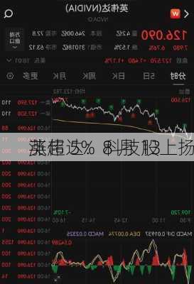 英伟达：8 月 13 
涨超 5%  科技股上扬