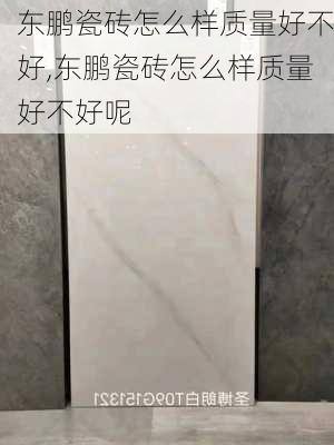 东鹏瓷砖怎么样质量好不好,东鹏瓷砖怎么样质量好不好呢