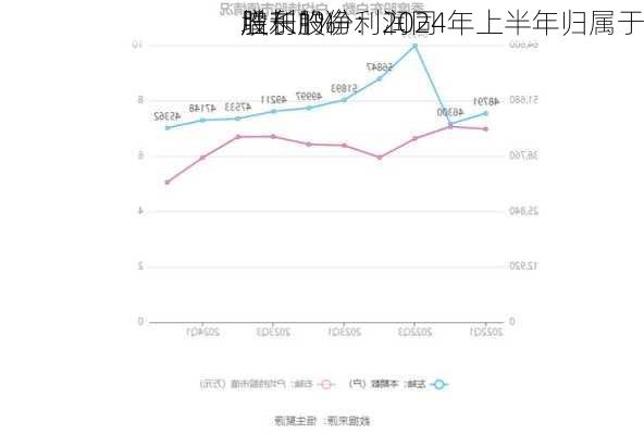 胜利股份：2024年上半年归属于
股东的净利润同
增长1%