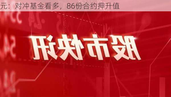 
元：对冲基金看多，86份合约押升值