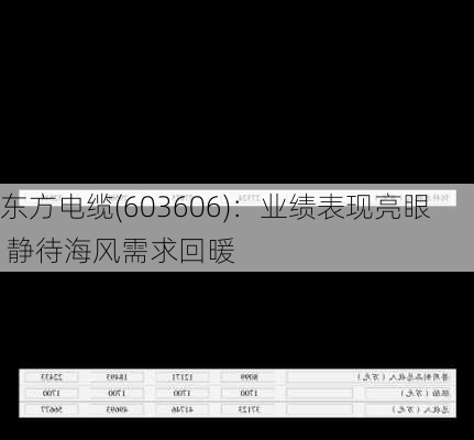 东方电缆(603606)：业绩表现亮眼 静待海风需求回暖