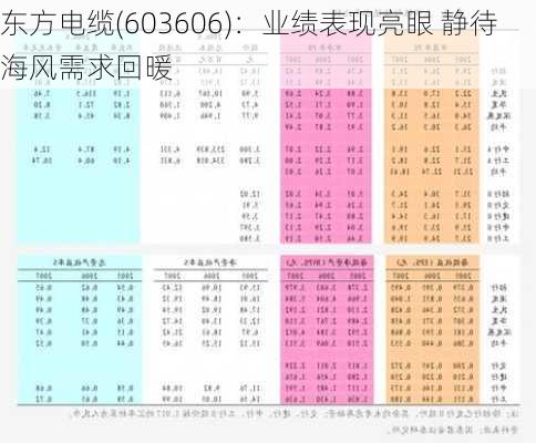 东方电缆(603606)：业绩表现亮眼 静待海风需求回暖