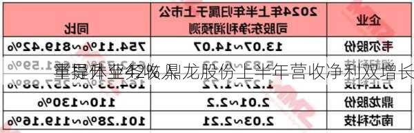 半导体业务收入
重提升至42% 鼎龙股份上半年营收净利双增长