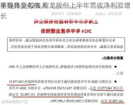 半导体业务收入
重提升至42% 鼎龙股份上半年营收净利双增长