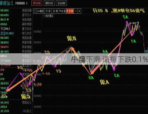 午盘：
小幅下滑 道指下跌0.1%