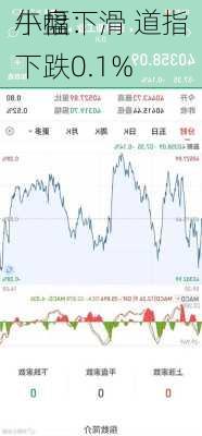 午盘：
小幅下滑 道指下跌0.1%