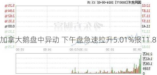 加拿大鹅盘中异动 下午盘急速拉升5.01%报11.87
