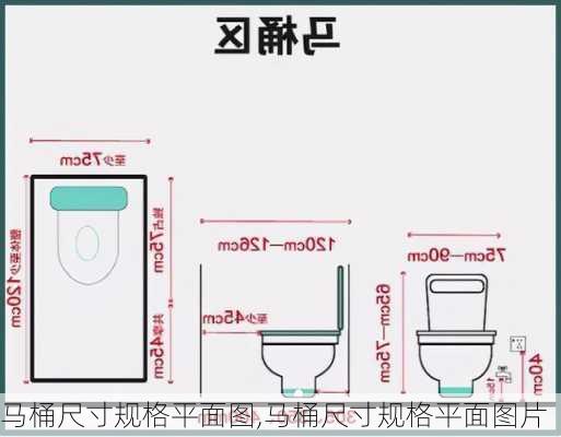 马桶尺寸规格平面图,马桶尺寸规格平面图片