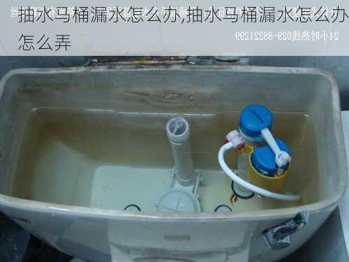 抽水马桶漏水怎么办,抽水马桶漏水怎么办怎么弄