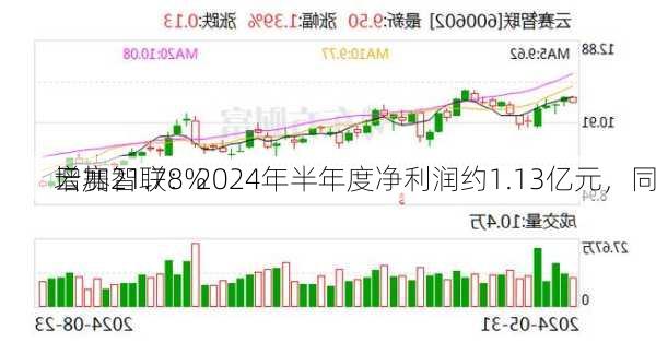 云赛智联：2024年半年度净利润约1.13亿元，同
增加21.78%