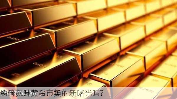 金价飙升背后：美
的
风向，是黄金市场的新曙光吗？