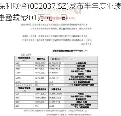 保利联合(002037.SZ)发布半年度业绩，净亏损5201万元，同
由盈转亏