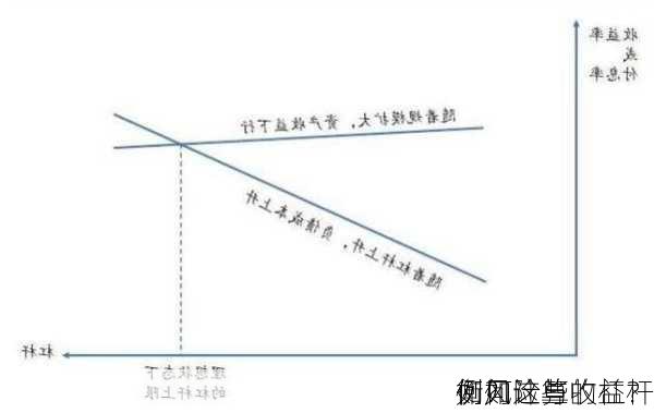 如何计算的杠杆
例？这些
例如
衡风险与收益？