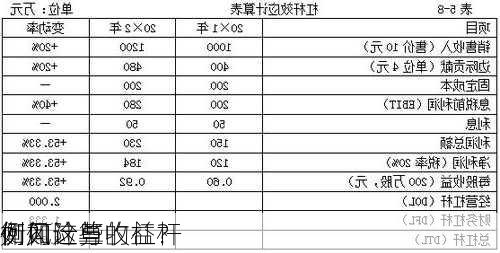 如何计算的杠杆
例？这些
例如
衡风险与收益？