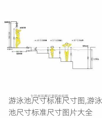 游泳池尺寸标准尺寸图,游泳池尺寸标准尺寸图片大全