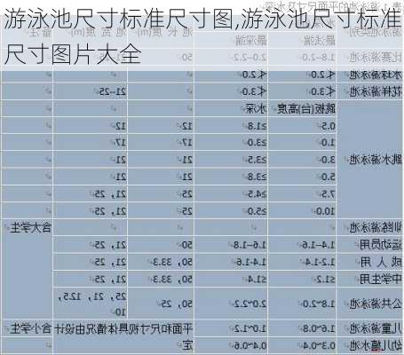 游泳池尺寸标准尺寸图,游泳池尺寸标准尺寸图片大全