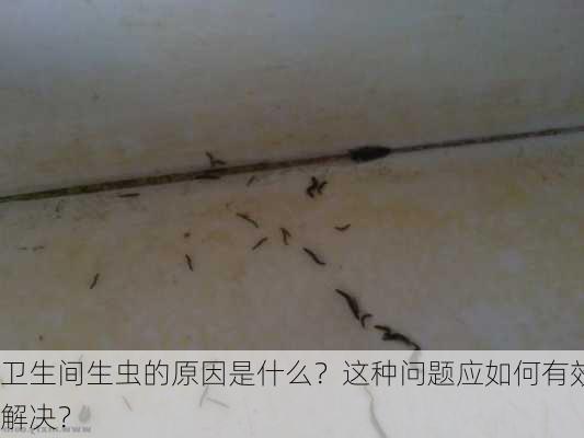 卫生间生虫的原因是什么？这种问题应如何有效解决？