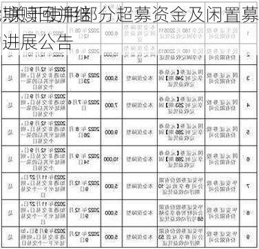 瑞纳智能:关于使用部分超募资金及闲置募
金进行到期赎回并继续进行的进展公告