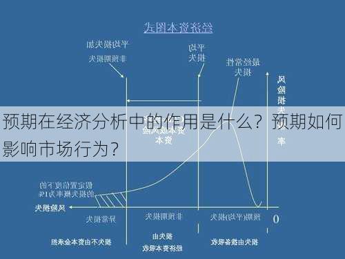 预期在经济分析中的作用是什么？预期如何影响市场行为？