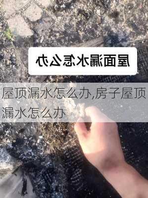 屋顶漏水怎么办,房子屋顶漏水怎么办