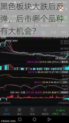 黑色板块大跌后反弹，后市哪个品种有大机会？