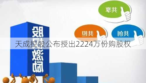 天成控股公布授出2224万份购股权