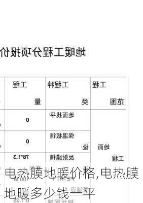 电热膜地暖价格,电热膜地暖多少钱一平