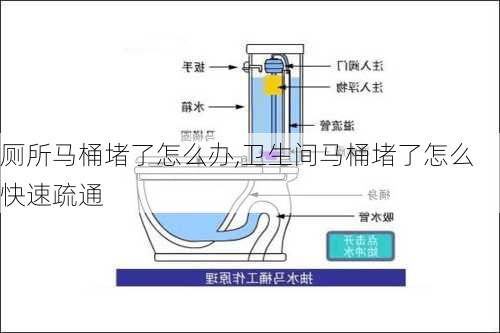 厕所马桶堵了怎么办,卫生间马桶堵了怎么快速疏通