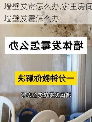 墙壁发霉怎么办,家里房间墙壁发霉怎么办