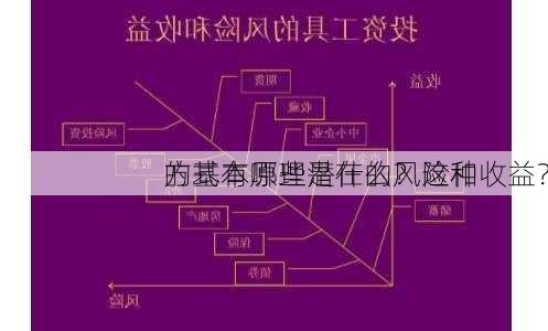 的基本原理是什么？这种
方式有哪些潜在的风险和收益？