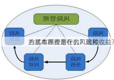 的基本原理是什么？这种
方式有哪些潜在的风险和收益？