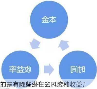 的基本原理是什么？这种
方式有哪些潜在的风险和收益？