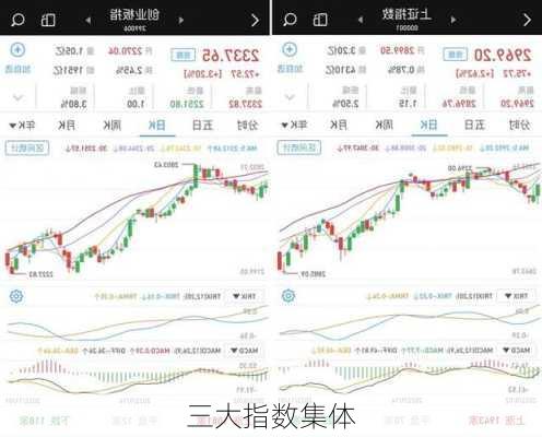 
三大指数集体
