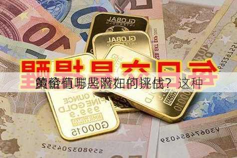 黄金
的价值与风险如何评估？这种
策略有哪些潜在的挑战？