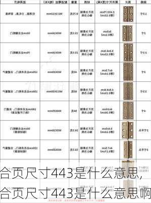 合页尺寸443是什么意思,合页尺寸443是什么意思啊