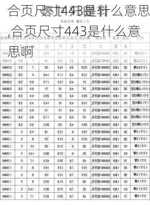 合页尺寸443是什么意思,合页尺寸443是什么意思啊