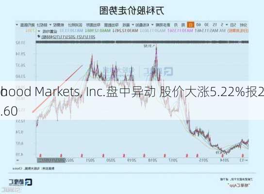 Ro
nhood Markets, Inc.盘中异动 股价大涨5.22%报23.60
