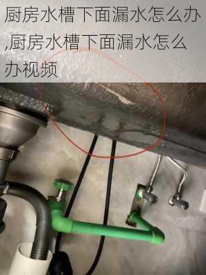 厨房水槽下面漏水怎么办,厨房水槽下面漏水怎么办视频