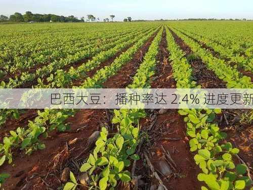 巴西大豆：播种率达 2.4% 进度更新