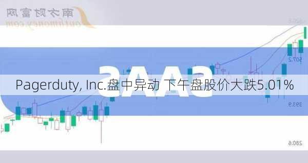 Pagerduty, Inc.盘中异动 下午盘股价大跌5.01%